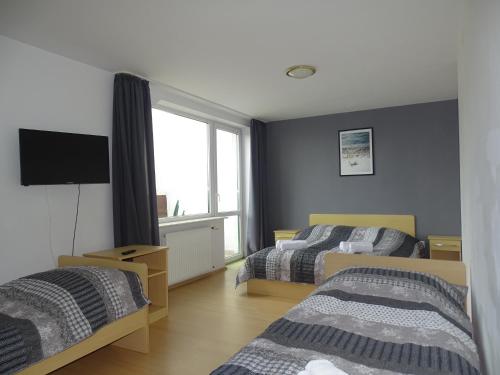 Imagen de la habitación del B&B Zielony Raj. Foto 5