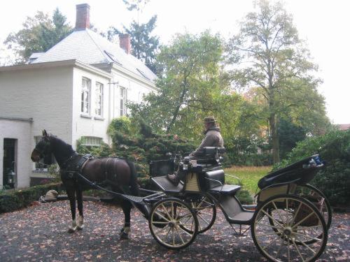 Imagen general del B&B 't Wit Huys Brugge. Foto 7