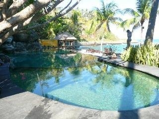 Imagen de la piscina del Boutique Alang Alang Boutique Beach Resort. Foto 10