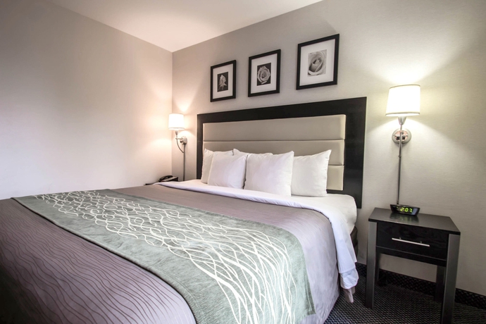 Imagen de la habitación del Boutique Artel Hotel Times Square. Foto 3