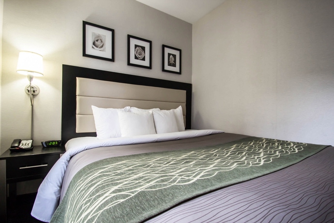 Imagen de la habitación del Boutique Artel Hotel Times Square. Foto 7