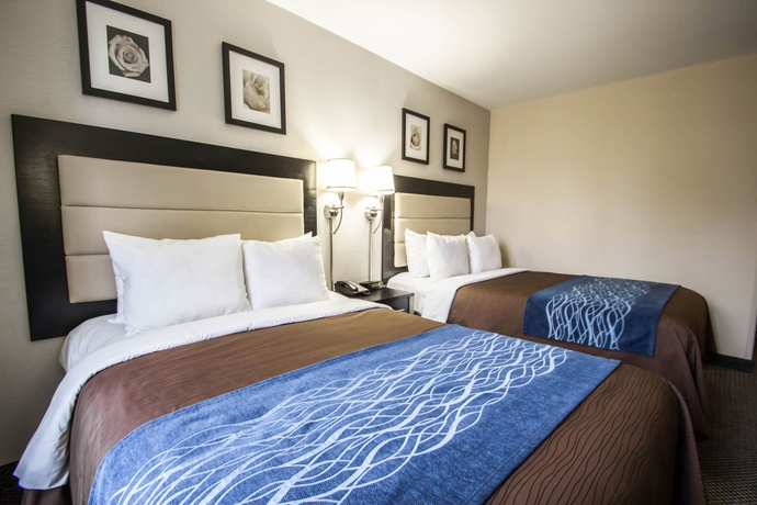 Imagen de la habitación del Boutique Artel Hotel Times Square. Foto 14