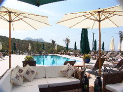 Imagen general del Boutique Bella View Boutique. Foto 6