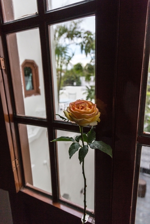 Imagen de los interiores del Boutique Casa Monraz Hotel Y Galería. Foto 8