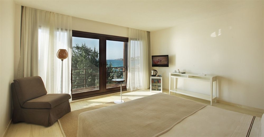 Imagen de la habitación del Boutique Ceshme Plus Hotel. Foto 5