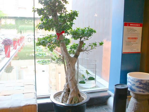 Imagen de los interiores del Boutique China Community Art Habitat Hotel. Foto 13
