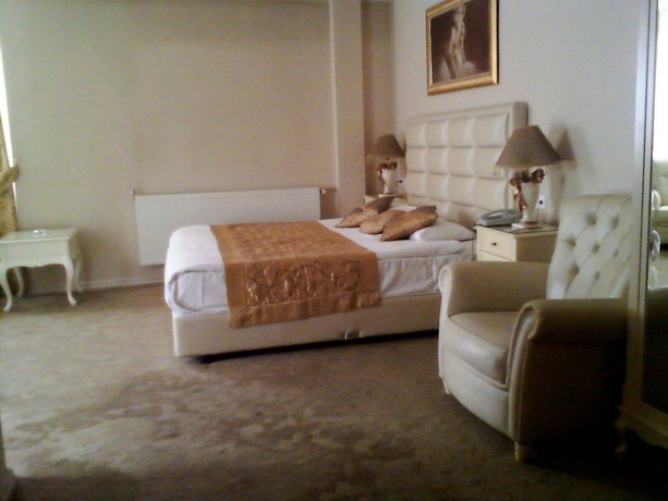 Imagen de la habitación del Boutique Golden Hotel, Ankara. Foto 7