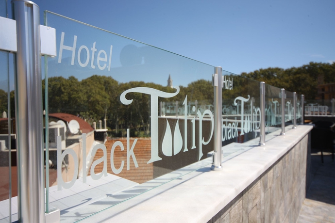 Imagen general del Boutique Hotel Black Tulip. Foto 2