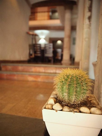Imagen general del Boutique Hotel Casa Virreyes. Foto 10