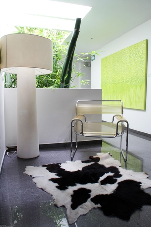 Imagen de los interiores del Boutique Hotel Clarum 101. Foto 10