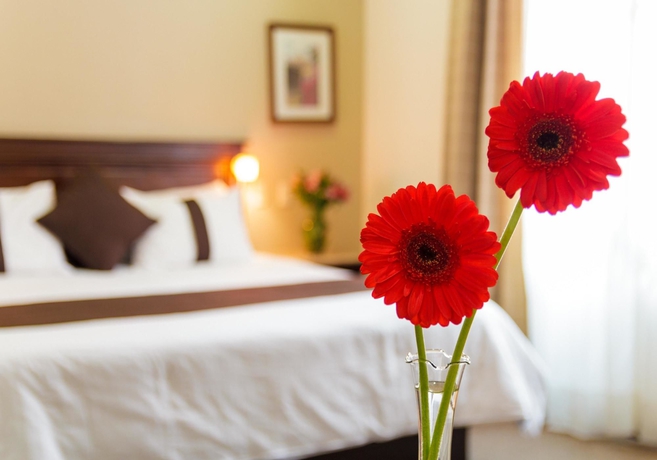 Imagen de la habitación del Boutique Hotel Misión Catedral Morelia. Foto 7