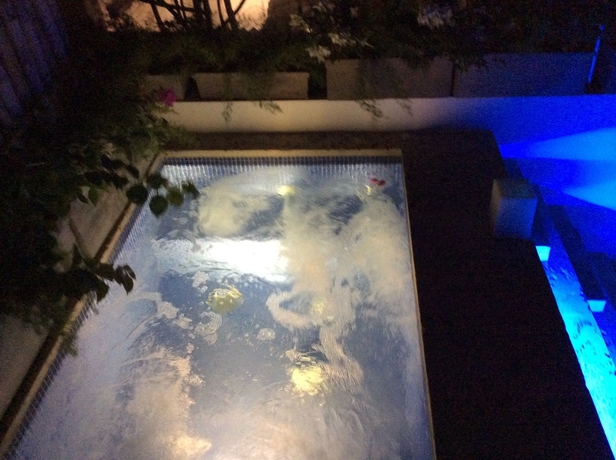 Imagen de la piscina del Boutique Hotel Santo Toribio. Foto 16