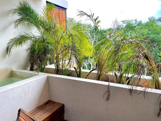 Imagen de la habitación del Boutique Irie Tulum. Foto 3