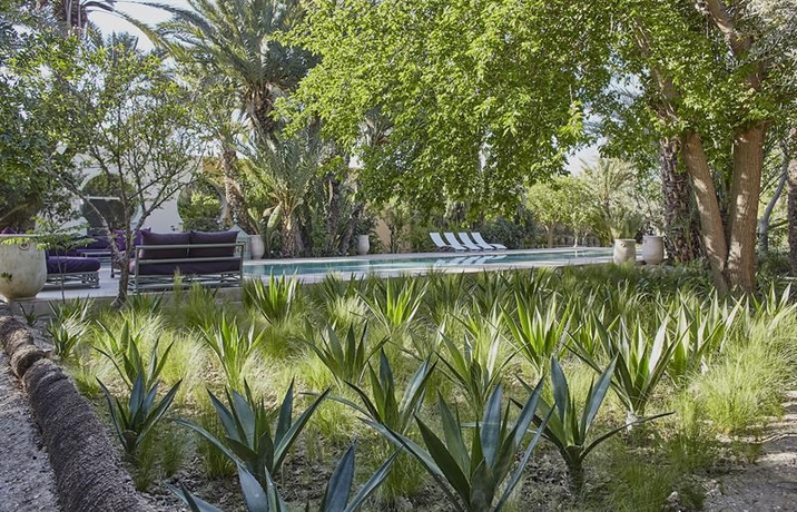 Imagen general del Boutique Jnane Tamsna. Foto 3