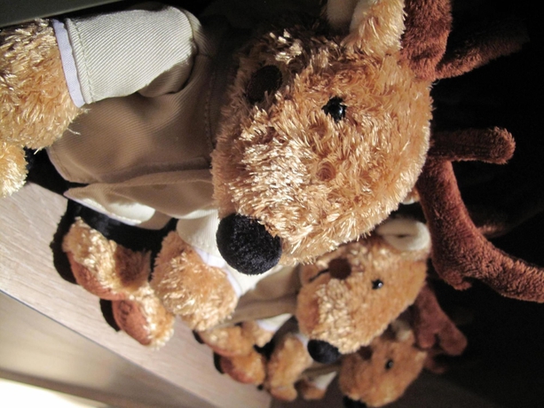 Imagen de los interiores del Boutique K Hotel Taipei Nanjing. Foto 12