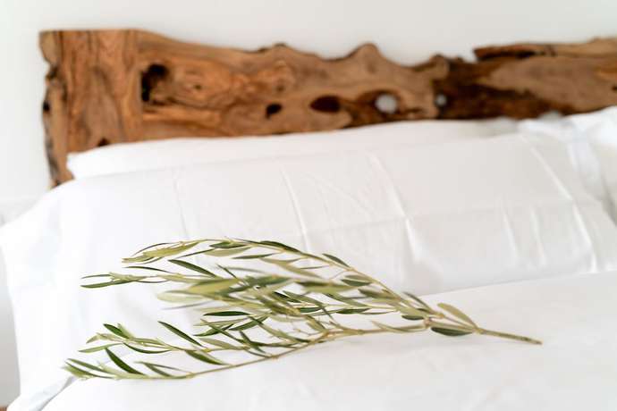 Imagen de la habitación del Boutique Mi Almazara. Foto 9