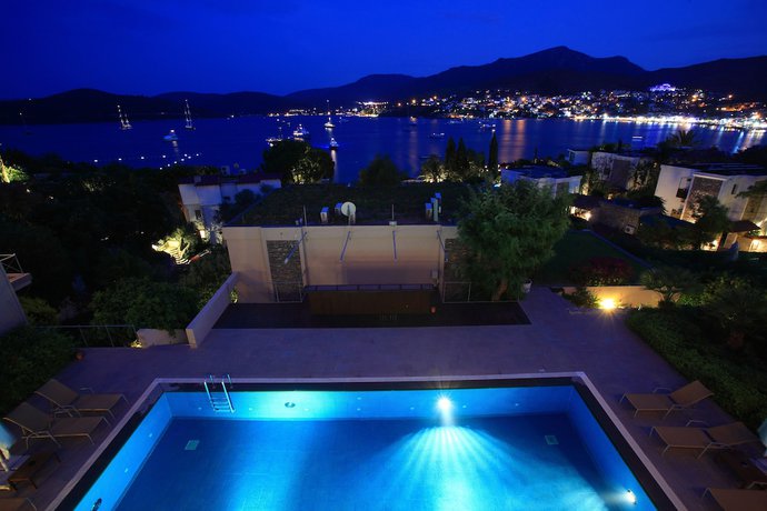 Imagen de la piscina del Boutique No 81 Hotel. Foto 20
