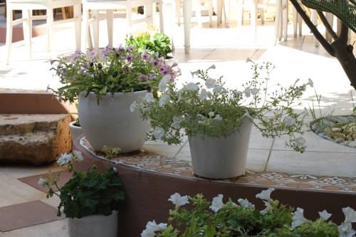 Imagen general del Boutique Puding Suite Hotel. Foto 9