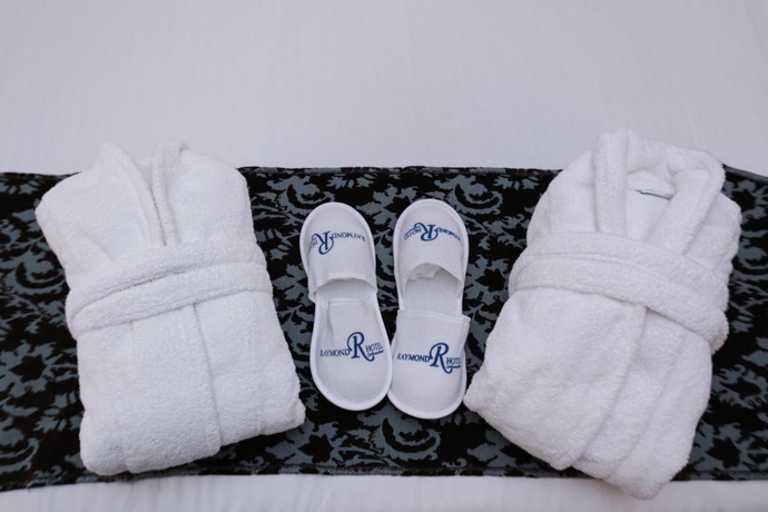 Imagen de la habitación del Boutique Raymond Hotel. Foto 13