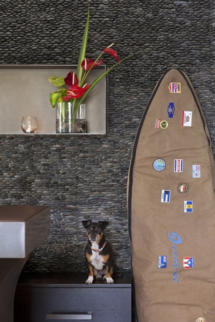 Imagen de los interiores del Boutique Renew. Foto 13