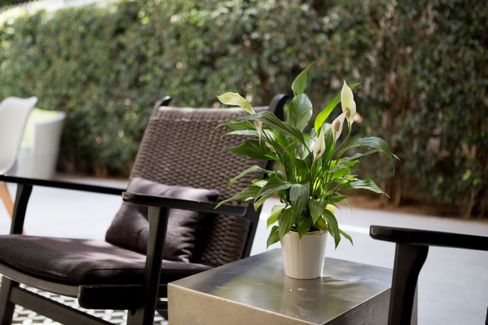 Imagen de los exteriores del Boutique Shenkin Hotel. Foto 9