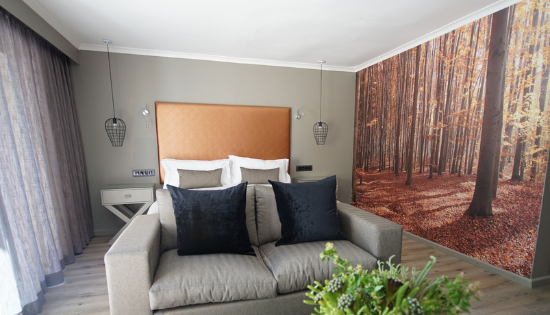 Imagen general del Boutique Silver Forest Hotel and Spa. Foto 4