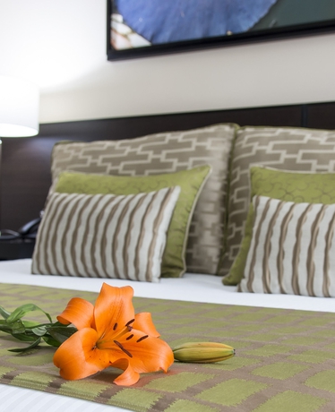 Imagen de la habitación del Boutique Studio Hotel. Foto 3