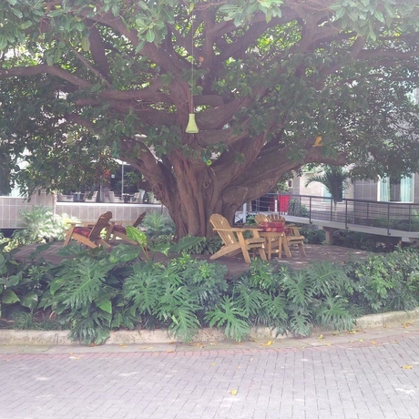 Imagen general del Boutique Studio Hotel. Foto 2