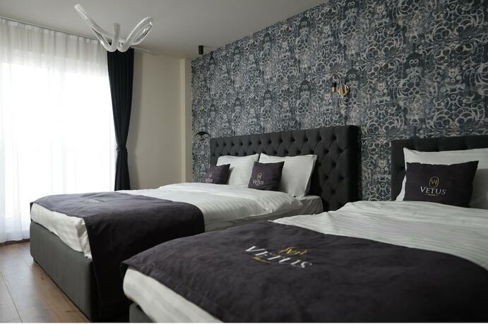 Imagen de la habitación del Boutique Vetus. Foto 12