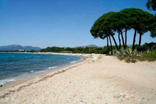Imagen de los exteriores del Camping AP Costas Playa Y Fiesta. Foto 11