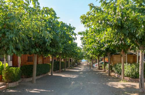 Imagen de los exteriores del Camping AP Costas Playa Y Fiesta. Foto 13