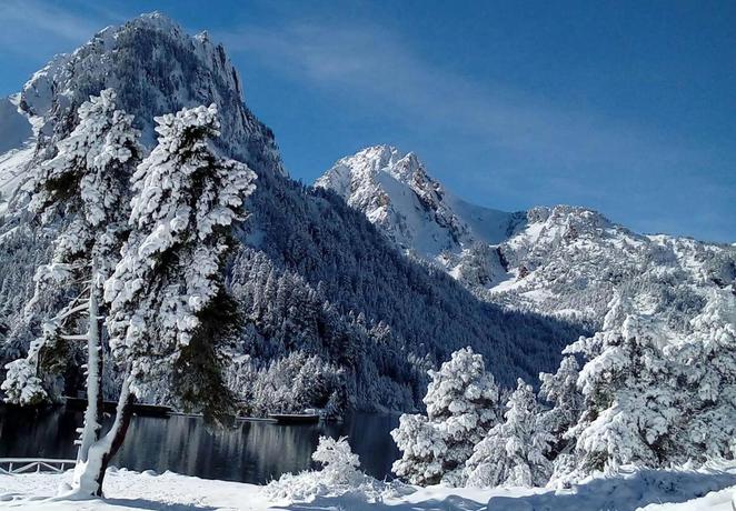 Imagen de los exteriores del Camping Aigüestortes Resort. Foto 7