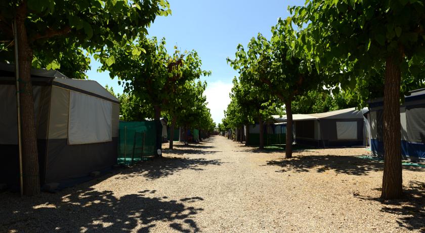 Imagen general del Camping Alba, Creixell. Foto 7