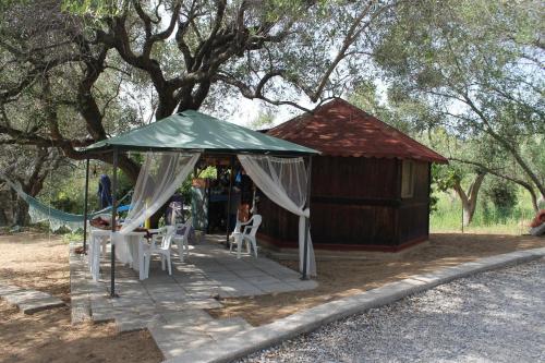Imagen general del Camping Amanti Del Mare. Foto 2