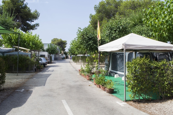 Imagen de los interiores del Camping Arena Blanca, Benidorm - Playa Levante. Foto 19