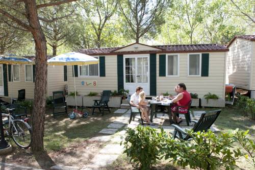 Imagen de la habitación del Camping Badiaccia Village. Foto 9