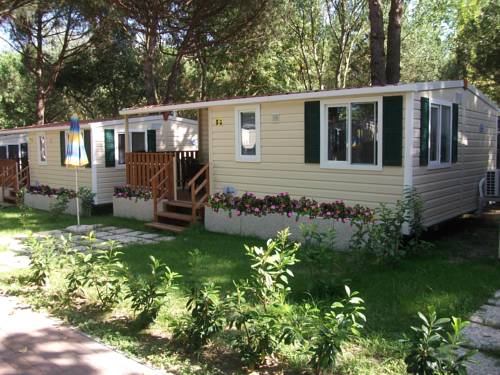 Imagen de la habitación del Camping Badiaccia Village. Foto 10