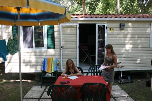 Imagen de la habitación del Camping Badiaccia Village. Foto 12