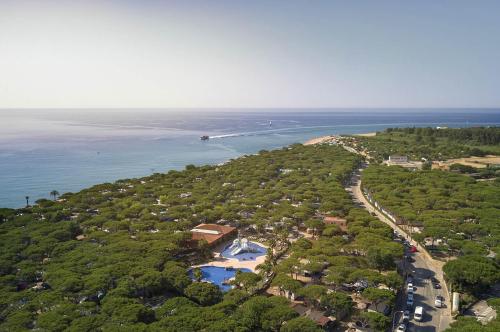 Imagen de los exteriores del Camping Bella Terra, Blanes. Foto 17