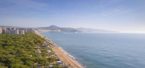 Imagen de los exteriores del Camping Bella Terra, Blanes. Foto 18