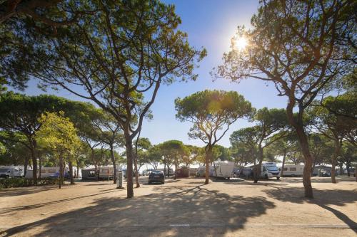 Imagen de la habitación del Camping Bella Terra. Foto 9