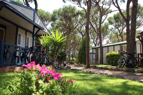 Imagen de los exteriores del Camping Bella Terra. Foto 19