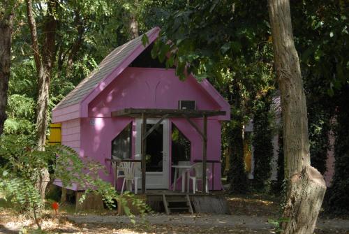 Imagen general del Camping Bellerive, Montfrin. Foto 2