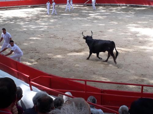 Imagen de la habitación del Camping Bellerive, Montfrin. Foto 9