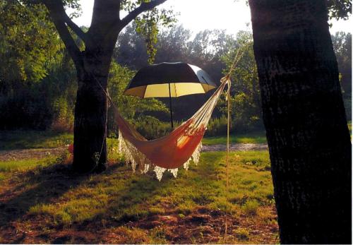 Imagen general del Camping Bellerive, Montfrin. Foto 5