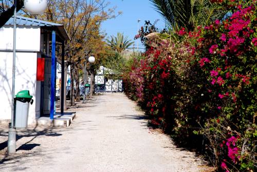 Imagen de los exteriores del Camping Bon Sol. Foto 8