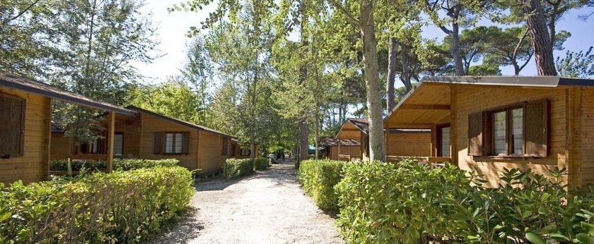 Imagen general del Camping Bosco Verde, Marina di Torre del Lago. Foto 1