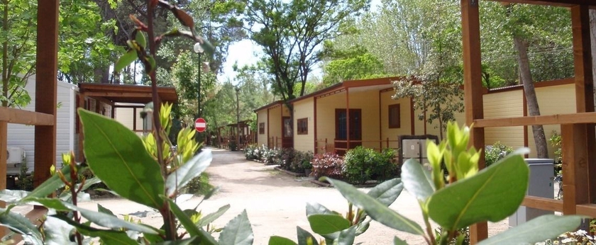 Imagen de los exteriores del Camping Bosco Verde, Marina di Torre del Lago. Foto 14