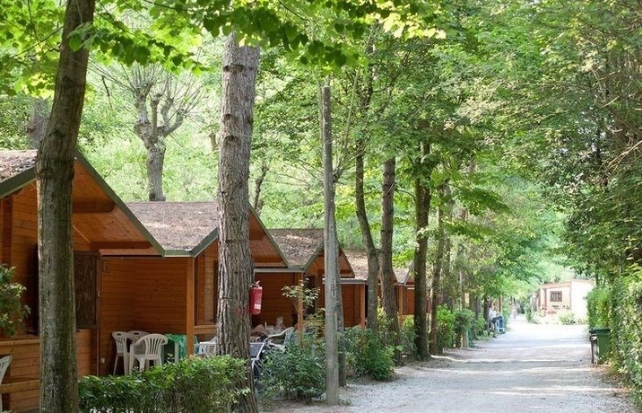 Imagen de los exteriores del Camping Bosco Verde, Marina di Torre del Lago. Foto 16