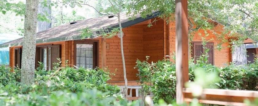 Imagen de los exteriores del Camping Bosco Verde, Marina di Torre del Lago. Foto 18
